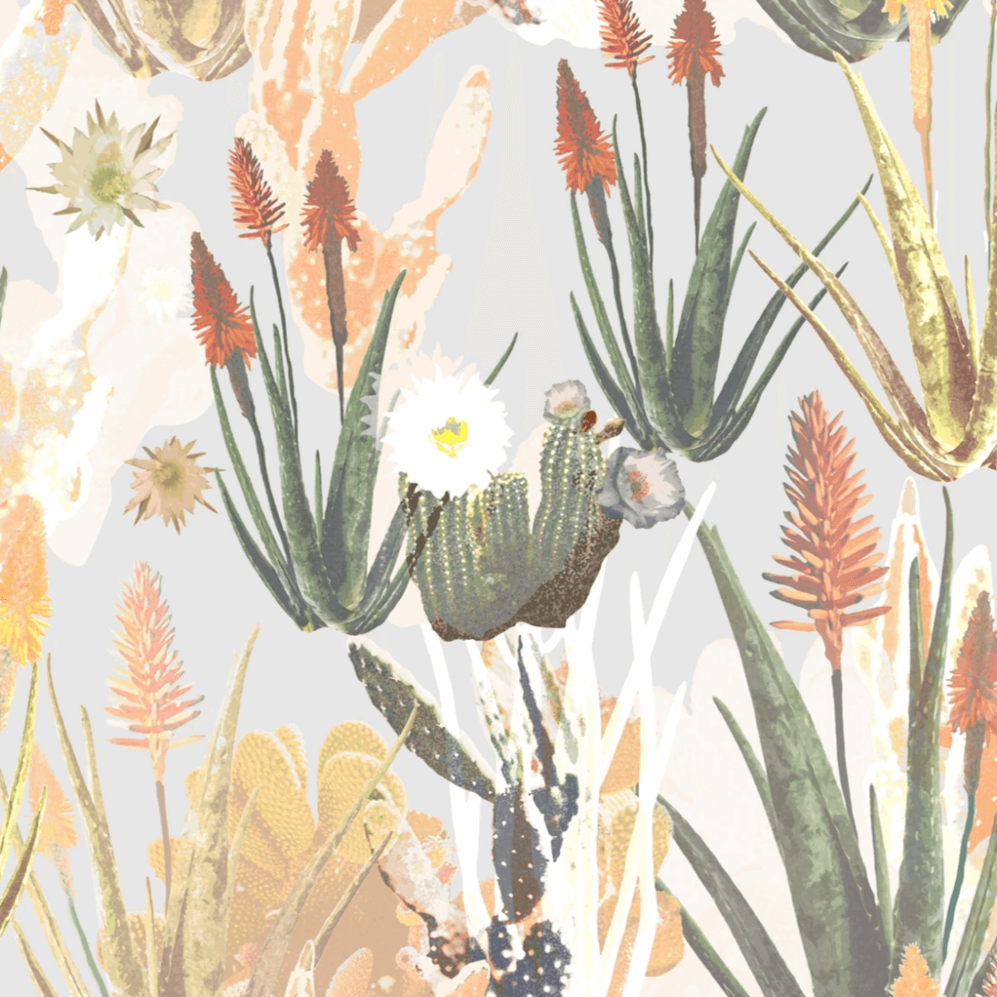 SUCC IT UP SUCCULENT WALLPAPER COLLECTION