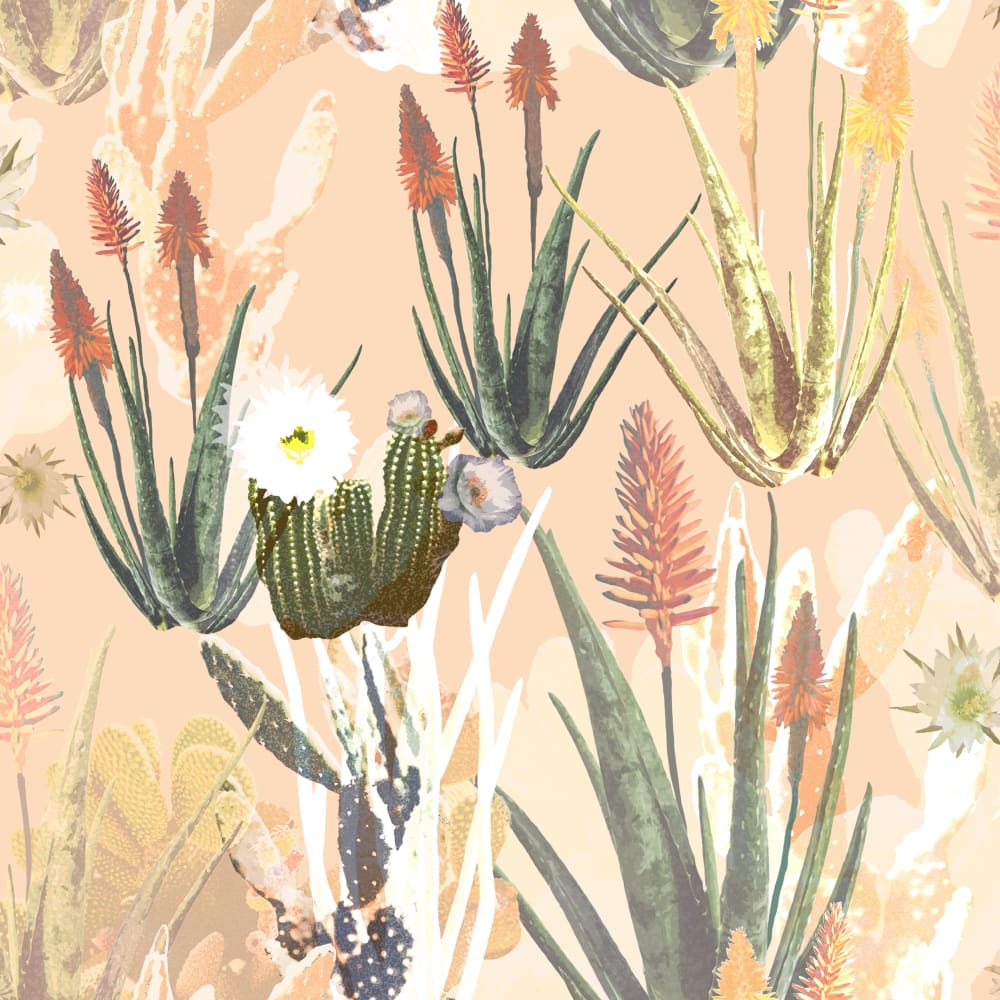 Aloe It's Me in Canyon Peach, full scale