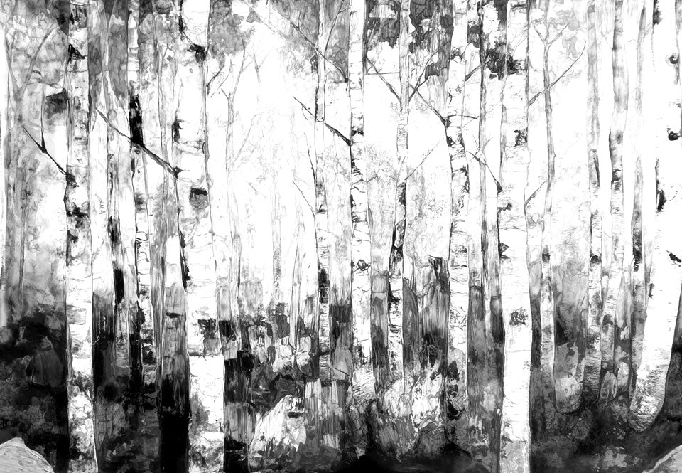 BirchWoods Black and White Swatch
