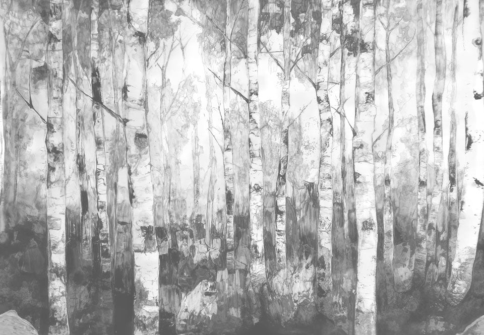 BirchWoods Greyscale Swatch