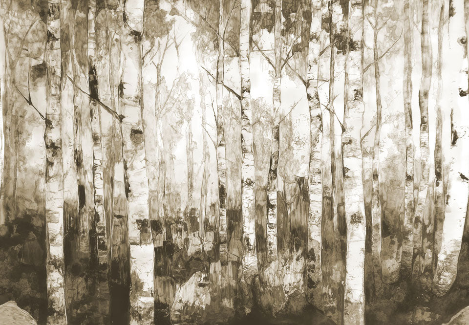 BirchWoods Sepia Swatch