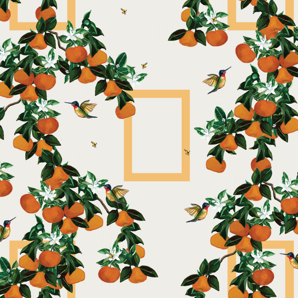 Birds Bees & Squeeze Cream