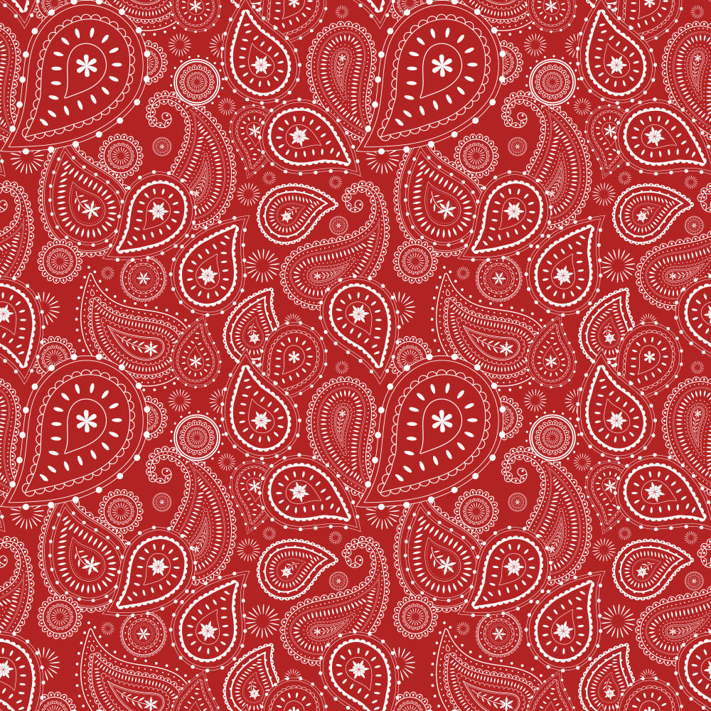 Buckaroo Bandana Western style paisley pattern in bright red