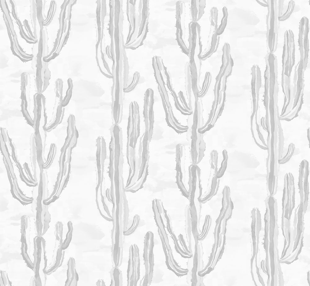 Cactus Bark Grey Swatch