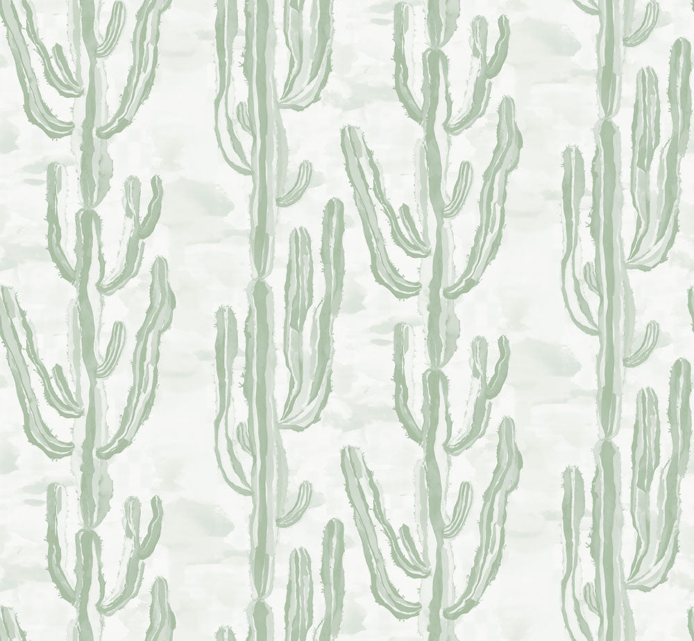 Cactus Bark Sage Swatch