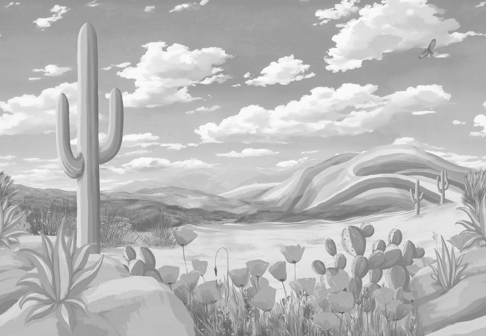 DesertScape Cloudy Sky Greyscale Swatch