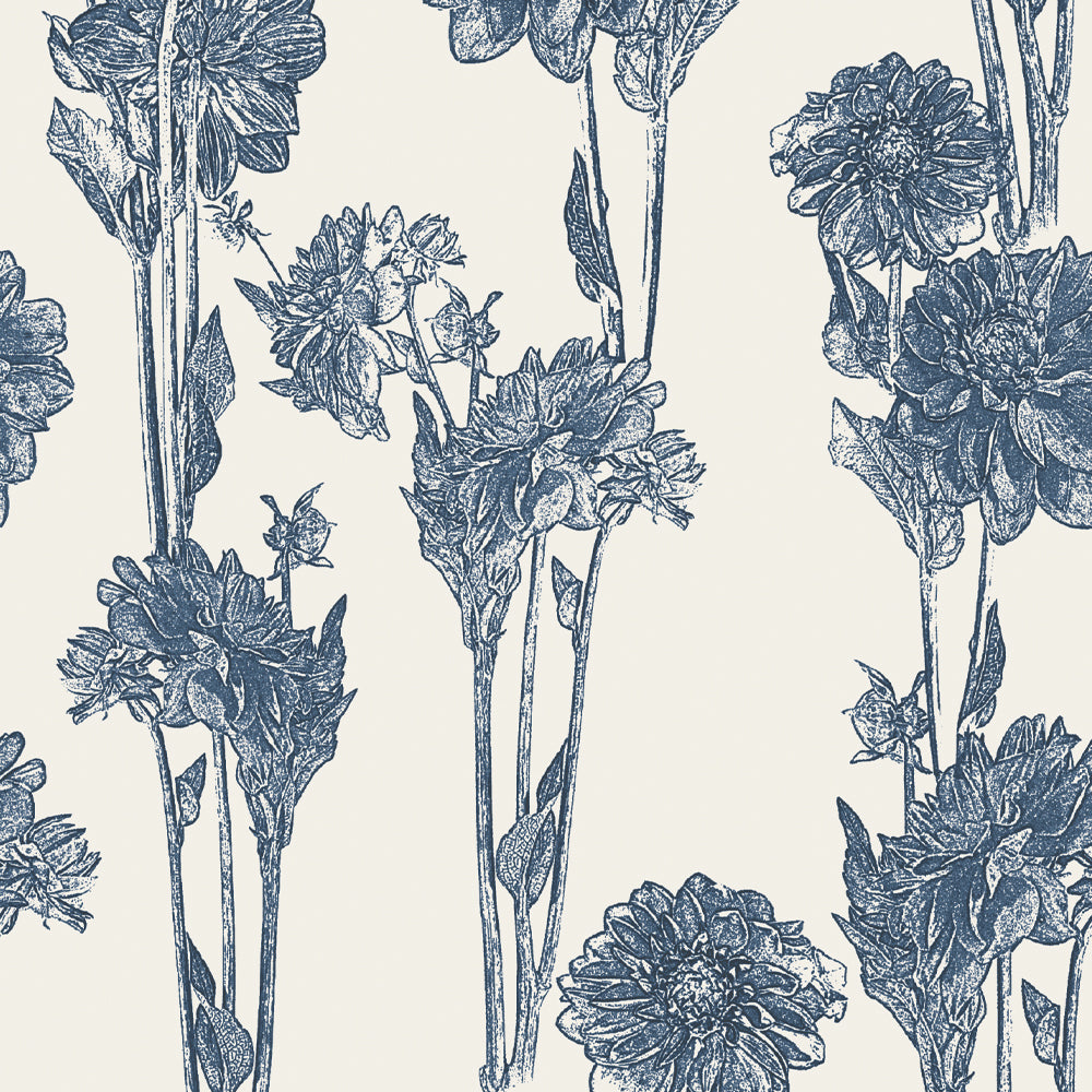 Hello Dahlia Full Scale Blue Denim