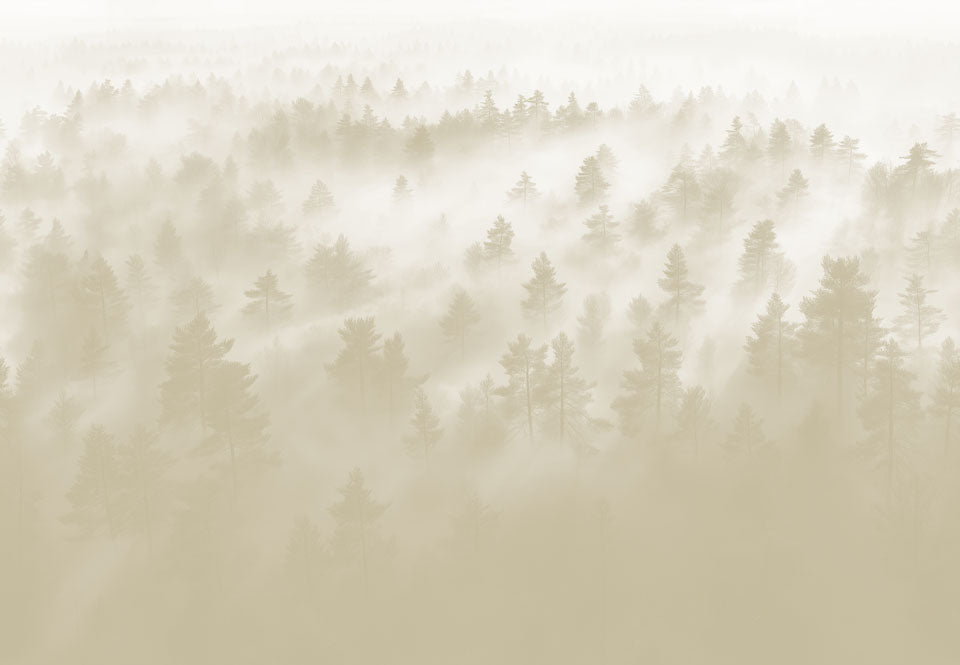 Forest Fog Beige Swatch