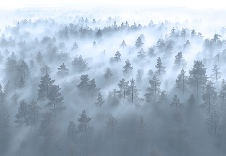 Forest Fog Blue Swatch