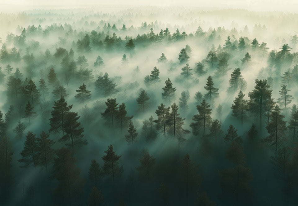 Forest Fog Dark Green Swatch