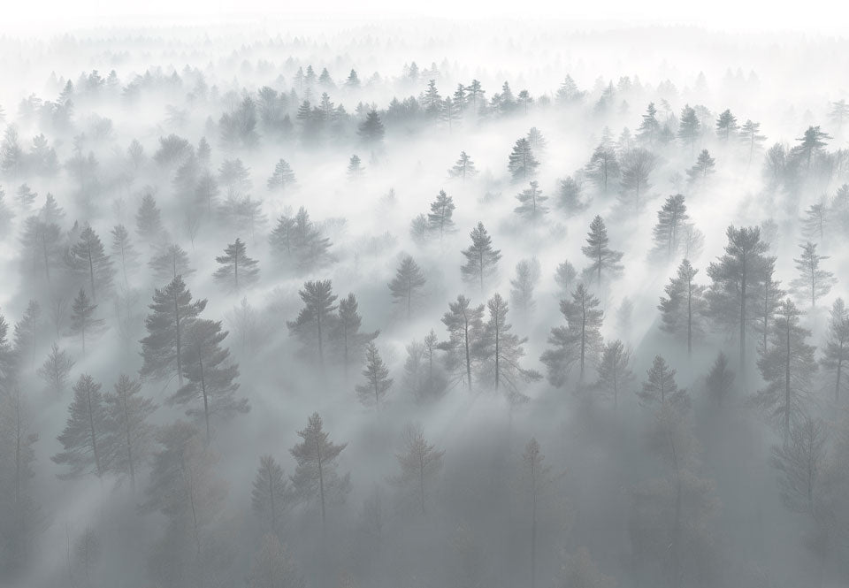 Forest Fog Dark Grey Swatch