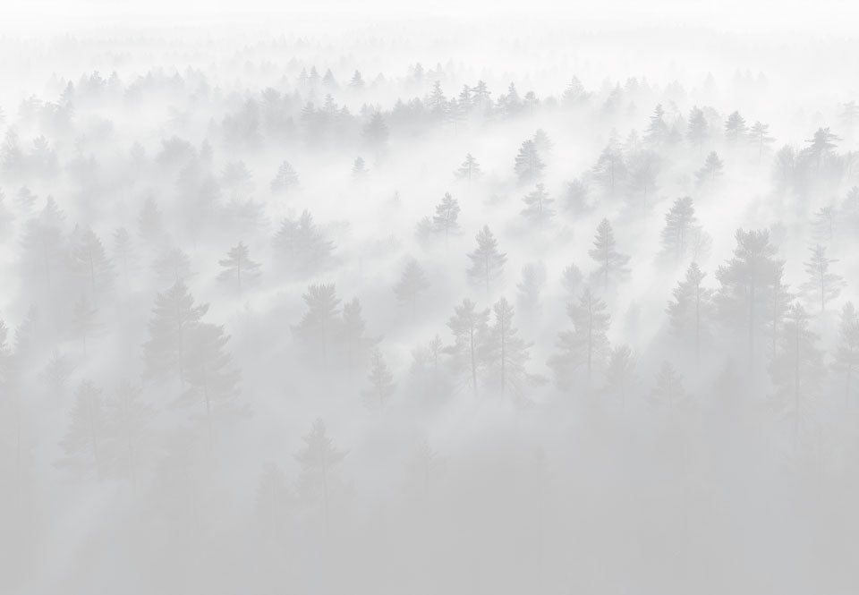 Forest Fog Light Grey Swatch