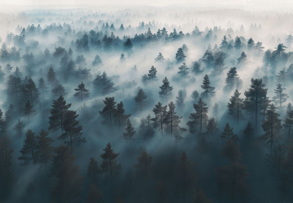 Forest Fog Pine Swatch