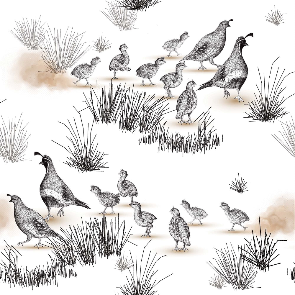 Gambeler's Quail hand drawn wallpaper pattern 