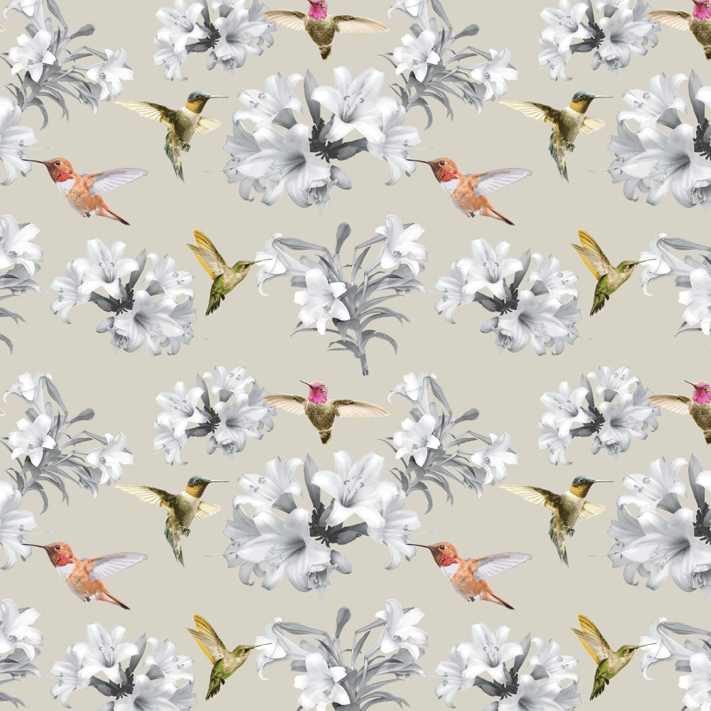 Colorful hummingbirds feeding on blooms, on a buff background