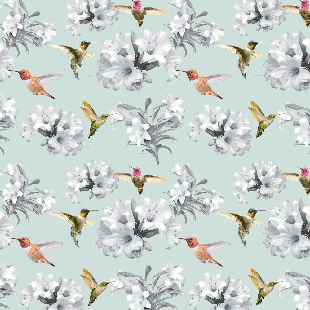 Colorful hummingbirds feeding on blooms, on a sea mist background