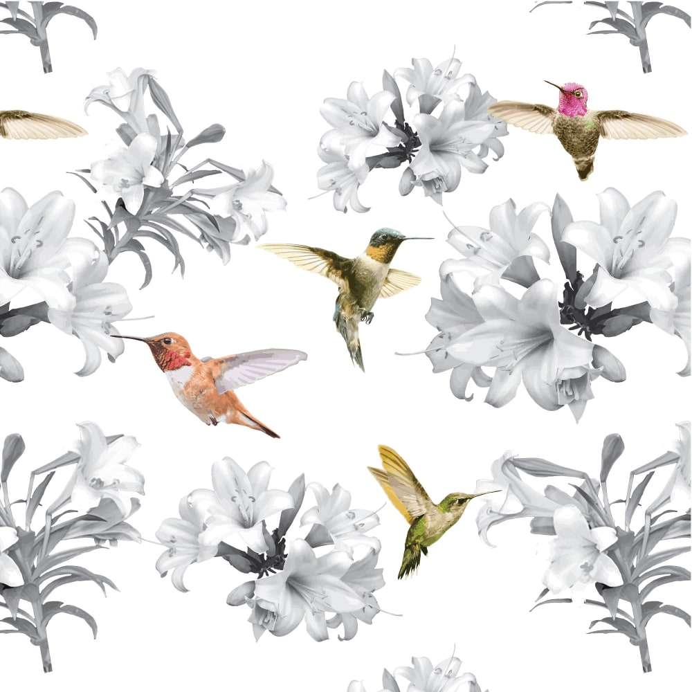 Hummingbirds Multi Full Scale
