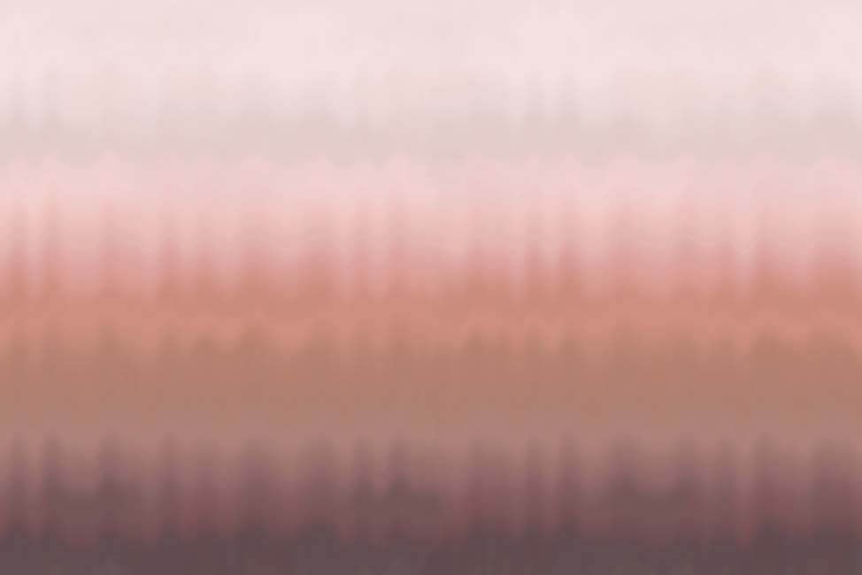 Sunset Ombre Mural Desert Rose