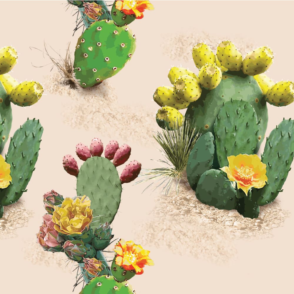 prickly pear cactus art Prickly Pear