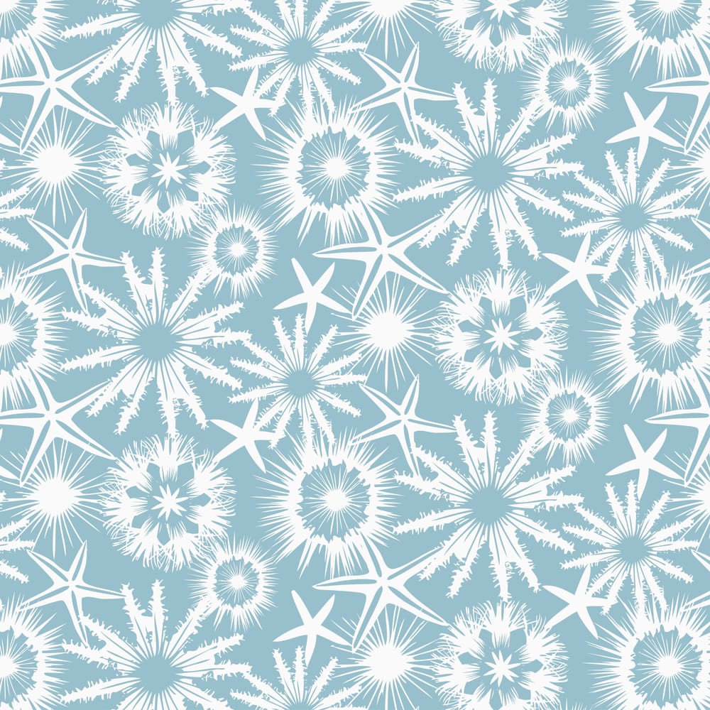 White starfish, sand dollars and sea urchins on a sea mist background