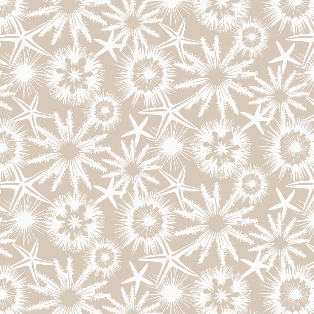 White starfish, sand dollars and sea urchins on a sand background
