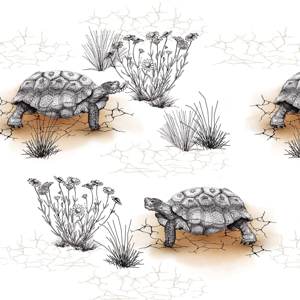 Turbo the Tortoise in the desert