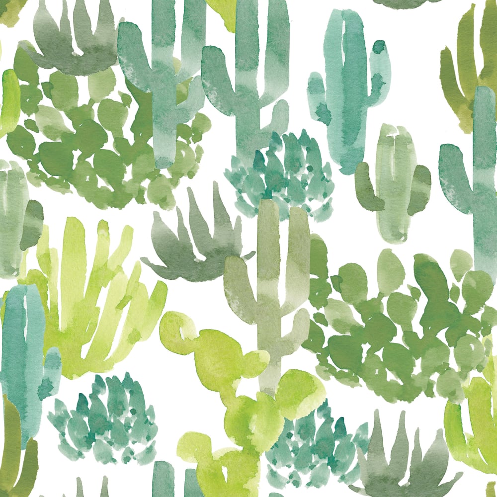 succulents background desktop Welcome To The Jungle